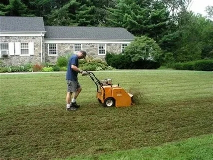Lawn Seeding Service in Cary, NC: Achieve a Lush, Green Lawn Year-Round