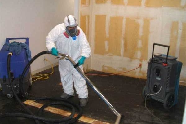 Say Goodbye to Mold: Effective Strategies for Removal and Remediation
