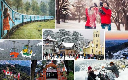 Shimla Manali Tour Package from Delhi: Culture and Nature Blend