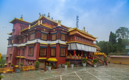 Darjeeling Diaries: Exploring the Best Hill Station in India