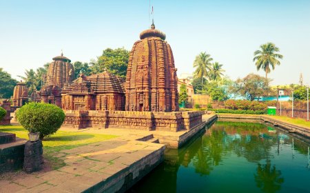 Things To Do in Bhubaneswar for an Unforgettable Experience