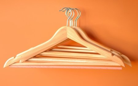 Maximize Closet Space with Smart Organizers Like Belt Hangers and Tie Racks