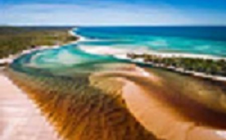 From Noosa to Paradise: Your Ultimate Guide to Staying and Touring K’gari (Fraser Island)