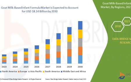 Natural Nutrition Trends Propel Goat Milk-Based Infant Formula Market Forward