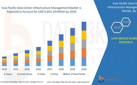 Digital Infrastructure Development Fuels Asia-Pacific DCIM Market Expansion