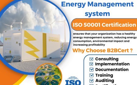 Case Study: How a New York Company Cut Costs and Carbon with ISO 50001