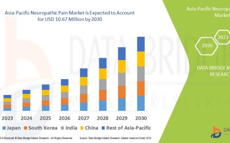 Chronic Pain Management Demand Elevates Asia-Pacific Neuropathic Pain Market