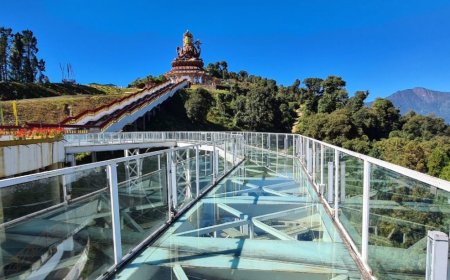 Experience Thrill and Beauty with the Skywalk Adventure