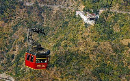 Experience the Beauty of Timber Trail Kasauli in One Visit