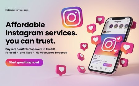 Instagram Creator vs Business Account: Which Is Better for Monetization