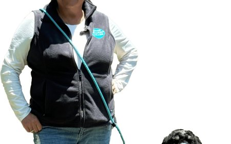 Enjoy the Freedom of Hands-Free Walks with Your Active Companion