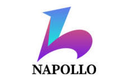 Expert Ecommerce SEO Services to Boost Sales, Traffic & Rankings | Napollo