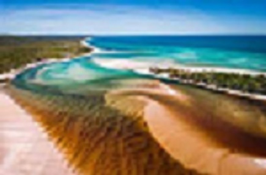 From Noosa to Paradise: Your Ultimate Guide to Staying and Touring K’gari (Fraser Island)
