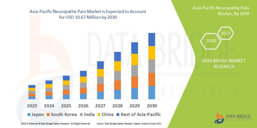 Chronic Pain Management Demand Elevates Asia-Pacific Neuropathic Pain Market