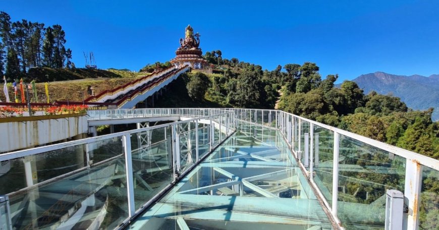 Experience Thrill and Beauty with the Skywalk Adventure