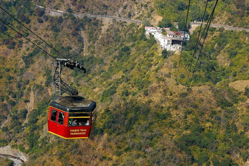 Experience the Beauty of Timber Trail Kasauli in One Visit