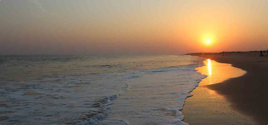 Discover the Beauty and Serenity of Puri Beach in Odisha