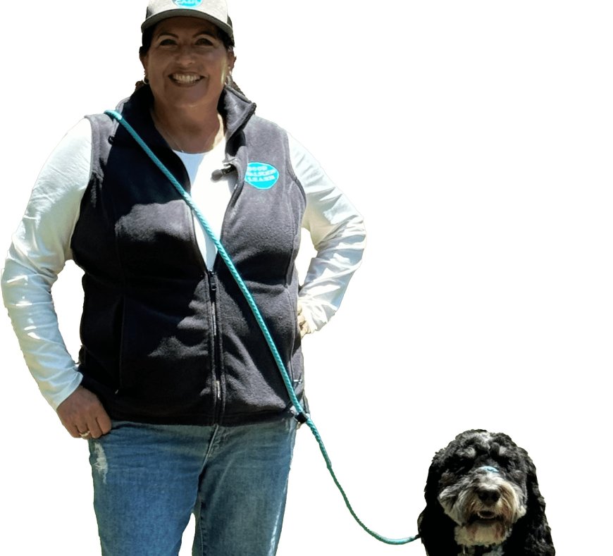 Enjoy the Freedom of Hands-Free Walks with Your Active Companion