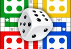 What is India’s best cash gaining Ludo game?