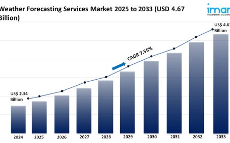 Weather Forecasting Services Market Size, Growth & Forecast 2025-2033