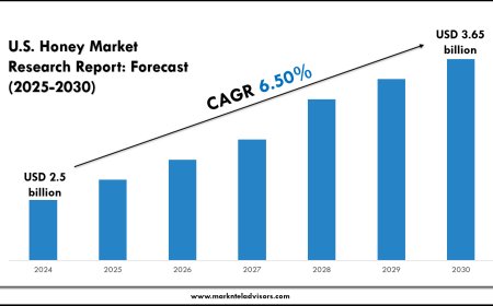 U.S. Honey Market Size & Opportunity Assessment