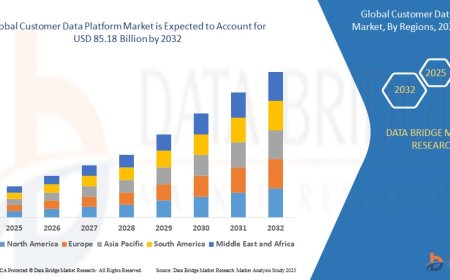 Customer Data Platform Market Overview: Key Drivers and Challenges