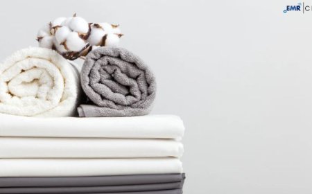 Bed and Bath Linen Market Growth: Key Drivers, Segments and Challenges