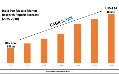 India Pan Masala Market Competition Outlook (2025–2030)