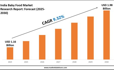 India Baby Food Market Research 2025–2030: Demand Drivers & Projections