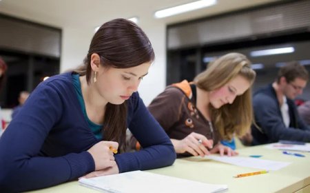 Crafting Success: Professional Research Proposal Writing Services That Deliver