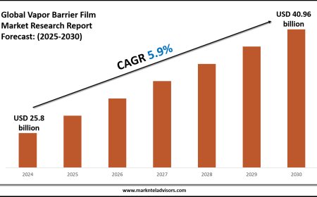 Forecasting the Vapor Barrier Film Market: Key Metrics & Industry Overview