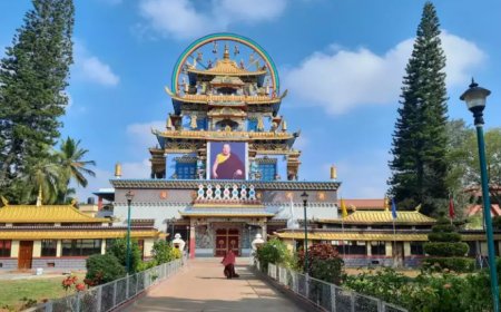 Explore Nature and Culture with Coorg Tour Packages
