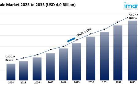 Talc Market Trends, Growth & Demand Forecast 2025-2033