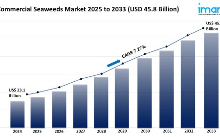 Commercial Seaweeds Market Report 2025 | Growth, Trends & Forecast by 2033