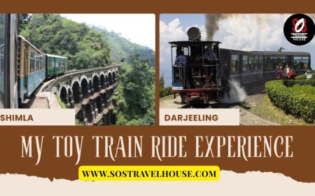 Looking for Cheap Darjeeling Packages? Explore for Under 10000