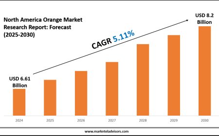 North America Orange Market Insights: USD 8.2 Billion Size by 2030