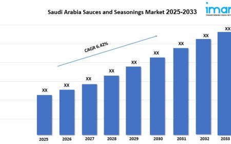 Saudi Arabia Sauces and Seasonings Market Share, Industry Demand And Report 2025-2033