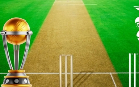 Magicwin247 – India’s Fastest Growing Betting Hub for Smart Wagers