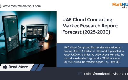 UAE Cloud Computing Market Executive Summary and Future Trends 2030