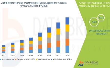 Hydrocephalus Treatment Market Analysis On Size and Industry Demand 2028