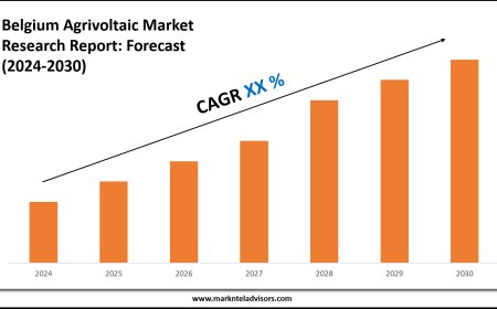 Belgium Agrivoltaic Market Key Players, Trends and Forecast Report 2030