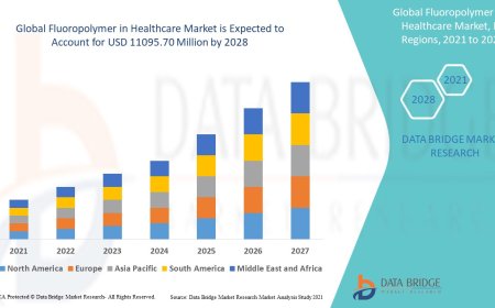 Fluoropolymer in Healthcare Market Size, Status and Industry Outlook During 2028