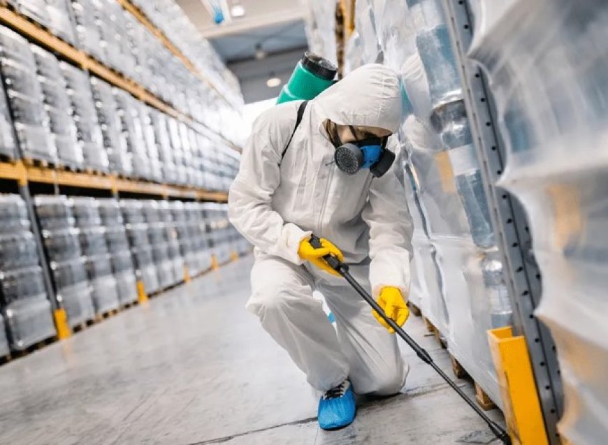 Residential Pest Control Perth: Safeguard Your Home with Expert Solutions