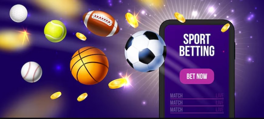 A Complete Guide to Sports Betting Software Developers and Their Services