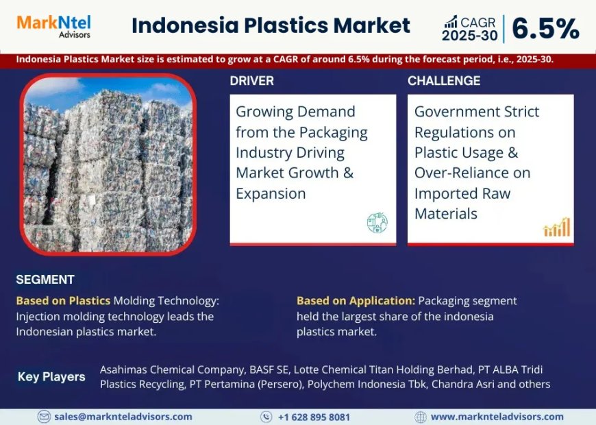 Indonesia Plastics Market Projected to Expand Rapidly with 6.5% CAGR by 2030