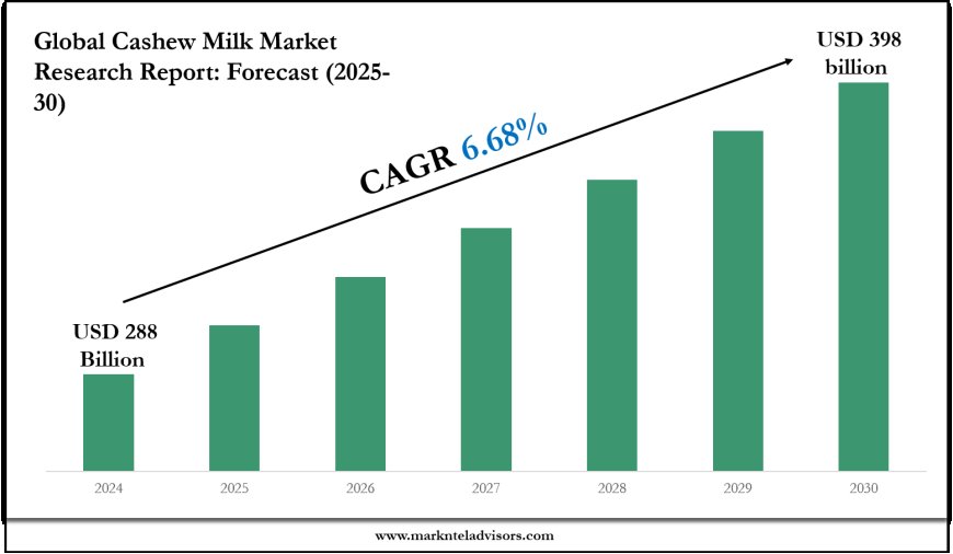 Cashew Milk Industry Trends & Forecast: Market Outlook to 2030