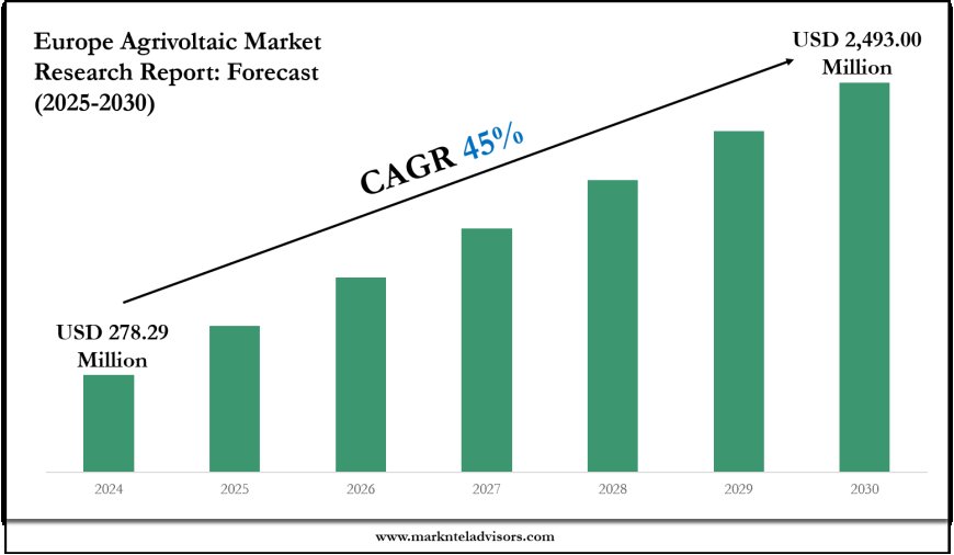 Strategic Insights on Europe Agrivoltaic Market: Forecast, Size & Trends