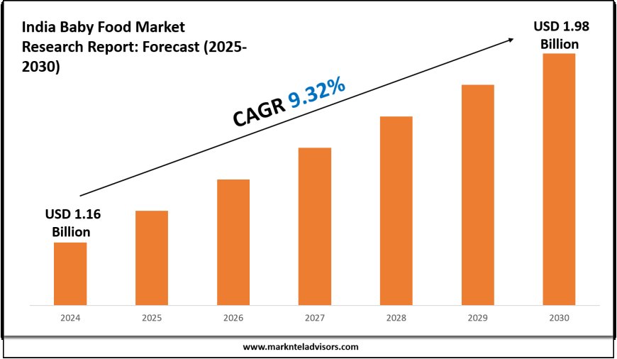India Baby Food Market Research 2025–2030: Demand Drivers & Projections