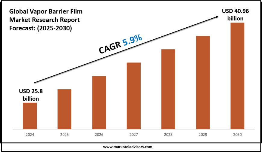 Forecasting the Vapor Barrier Film Market: Key Metrics & Industry Overview
