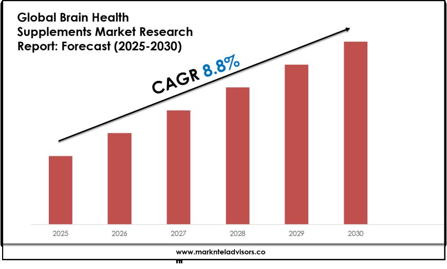 Brain Health Supplements Market Research 2025–2030: Demand Drivers & Projections